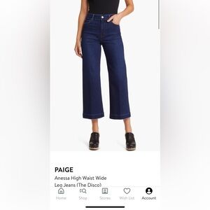 PAIGE Anessa At The Disco